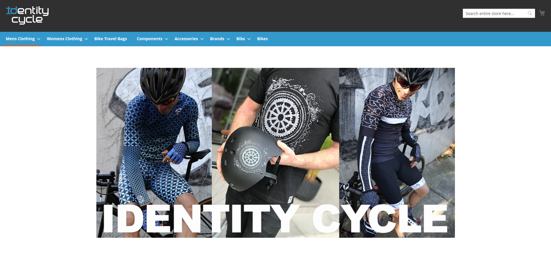 Identity Cycle website